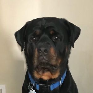 Meet your Posher, Edna